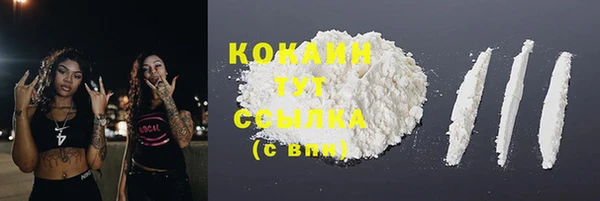 стаф Мегион