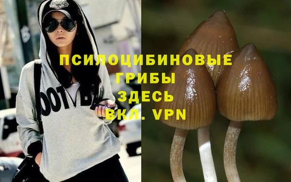 каннабис Абаза