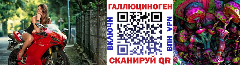 Псилоцибиновые грибы Cubensis  блэк спрут ССЫЛКА  Александровск-Сахалинский 